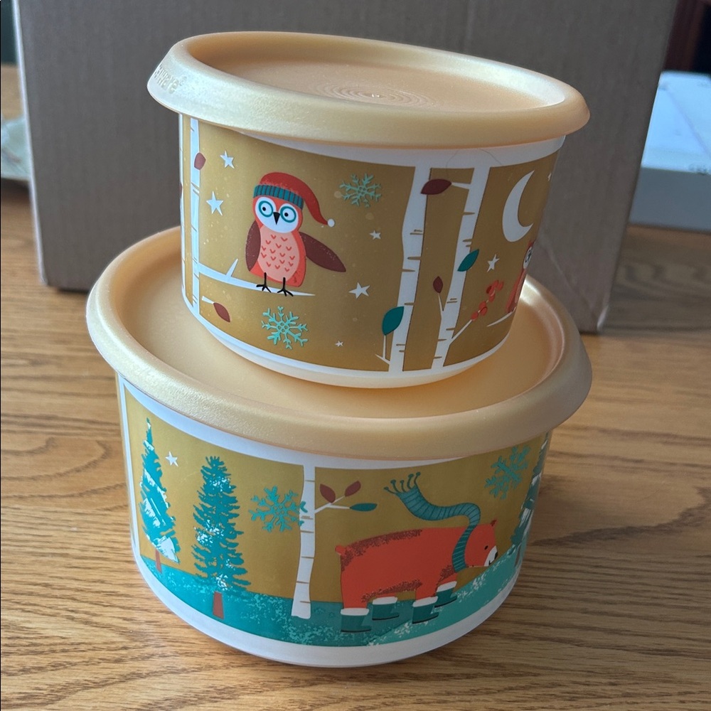 Tupperware Winter Storage Containers - Picture 3 of 8